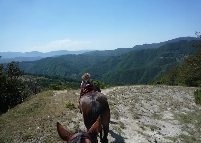 Agriturismo Badia Della Valle *
