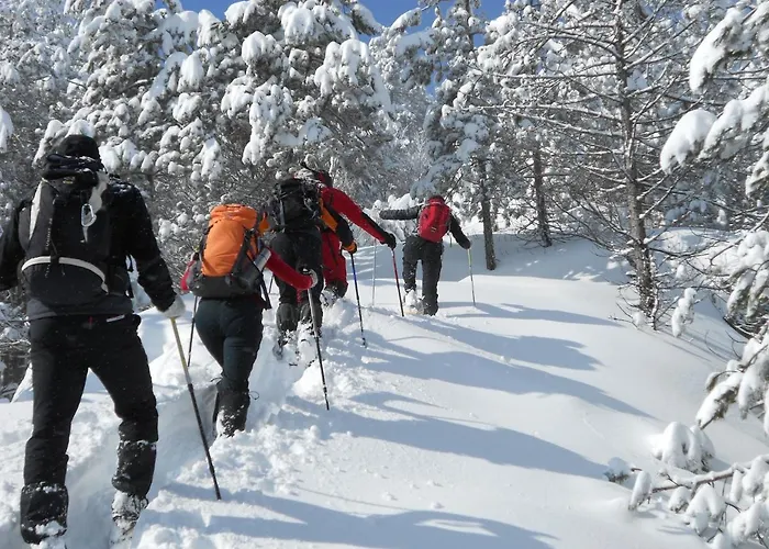 Κατάλυμα σε φάρμα Agriturismo Badia Della Valle Marradi