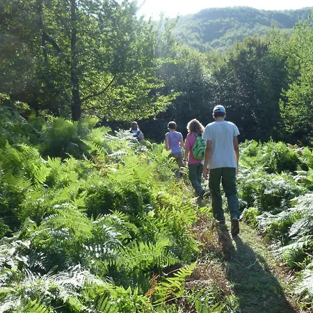 Alojamento de Turismo Rural Agriturismo Badia Della Valle